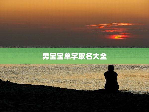 男宝宝单字取名大全