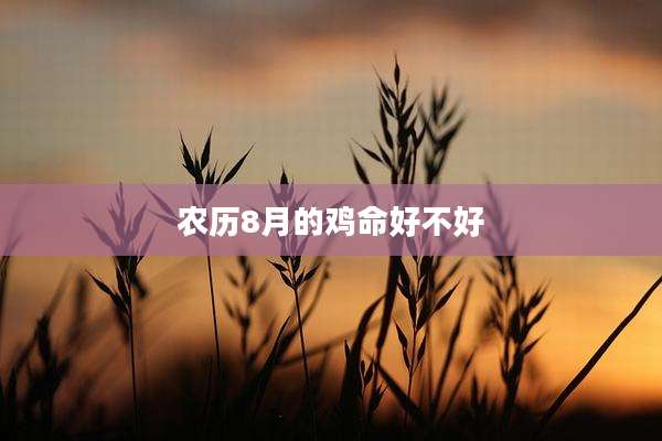 农历8月的鸡命好不好