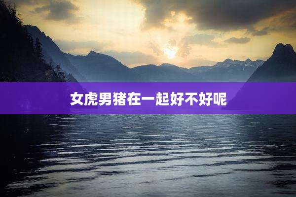 女虎男猪在一起好不好呢