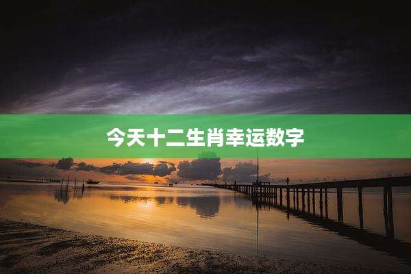 今天十二生肖幸运数字