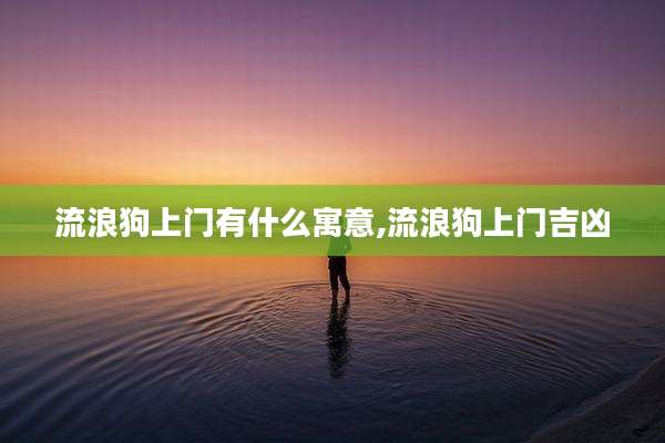 流浪狗上门有什么寓意,流浪狗上门吉凶