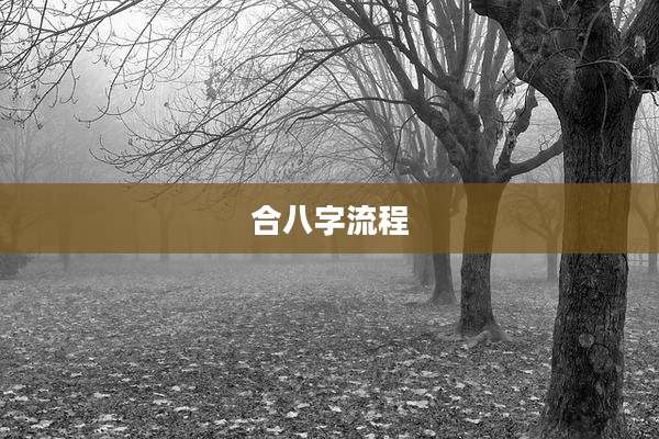 合八字流程