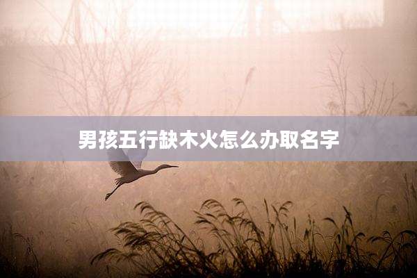 男孩五行缺木火怎么办取名字