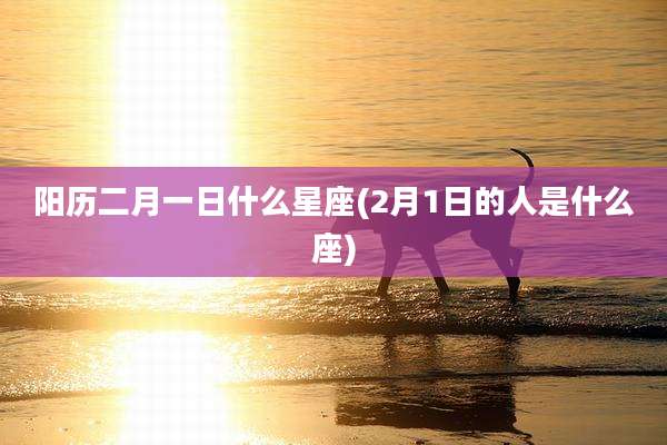 阳历二月一日什么星座(2月1日的人是什么座)