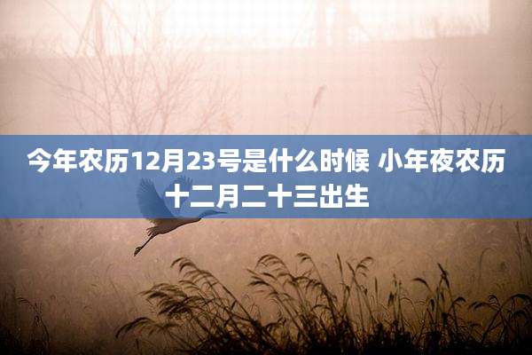 今年农历12月23号是什么时候 小年夜农历十二月二十三出生