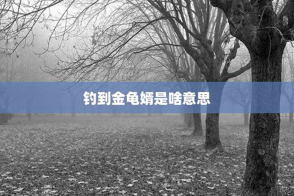 钓到金龟婿是啥意思