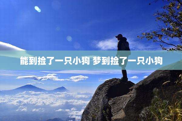 能到捡了一只小狗 梦到捡了一只小狗