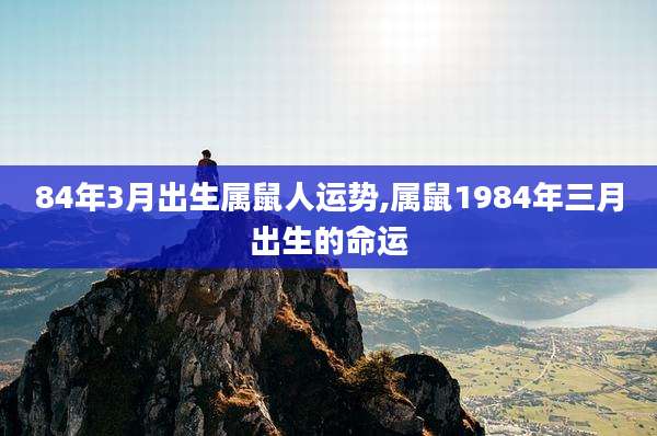 84年3月出生属鼠人运势,属鼠1984年三月出生的命运