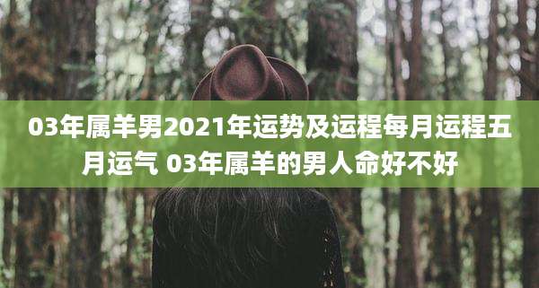 03年属羊男2021年运势及运程每月运程五月运气 03年属羊的男人命好不好