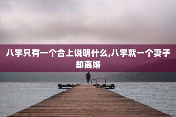八字只有一个合上说明什么,八字就一个妻子却离婚