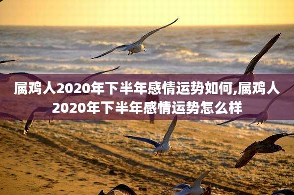 属鸡人2020年下半年感情运势如何,属鸡人2020年下半年感情运势怎么样