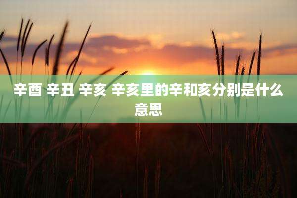 辛酉 辛丑 辛亥 辛亥里的辛和亥分别是什么意思