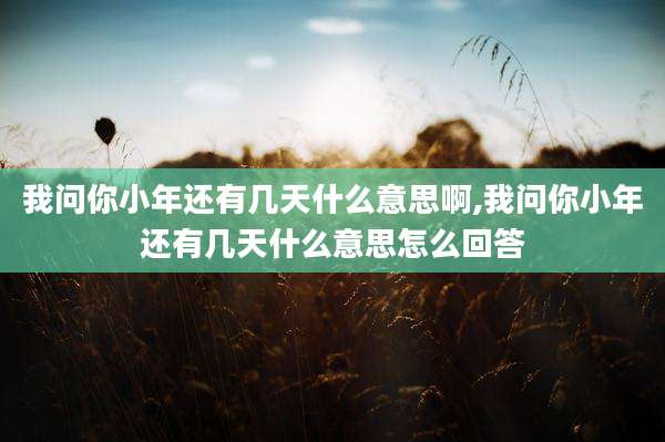 我问你小年还有几天什么意思啊,我问你小年还有几天什么意思怎么回答