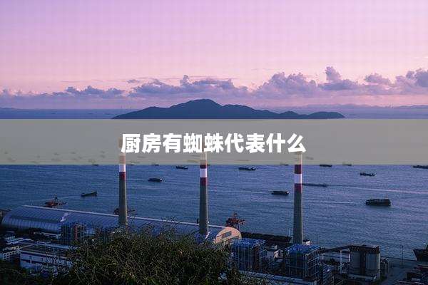 厨房有蜘蛛代表什么