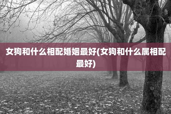 女狗和什么相配婚姻最好(女狗和什么属相配最好)