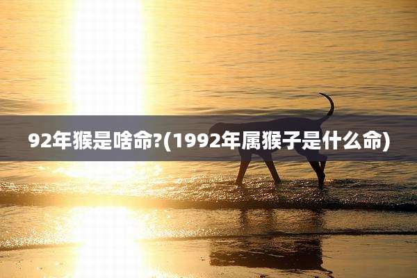 92年猴是啥命?(1992年属猴子是什么命)