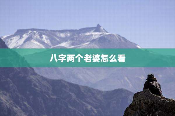 八字两个老婆怎么看