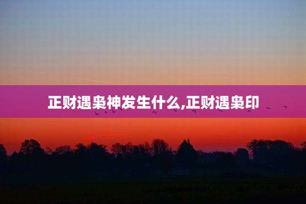 正财遇枭神发生什么,正财遇枭印