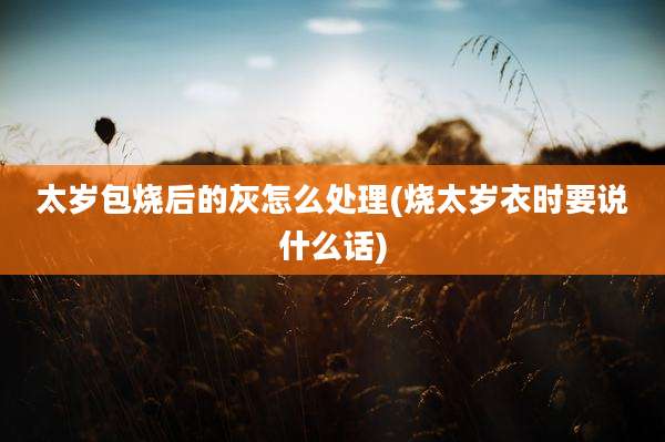 太岁包烧后的灰怎么处理(烧太岁衣时要说什么话)