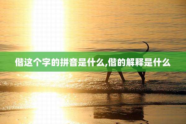 偕这个字的拼音是什么,偕的解释是什么