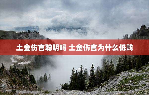 土金伤官聪明吗 土金伤官为什么低贱