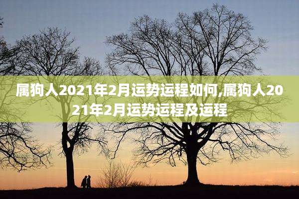 属狗人2021年2月运势运程如何,属狗人2021年2月运势运程及运程