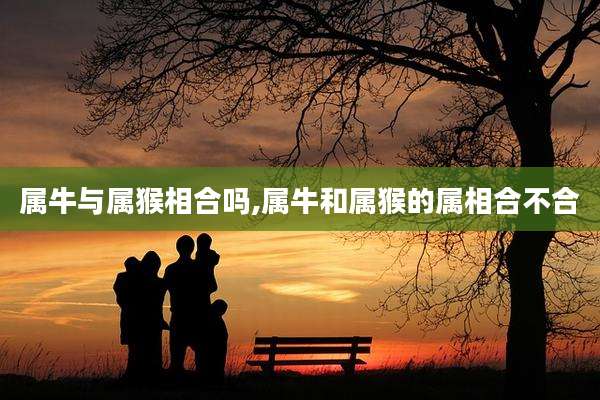 属牛与属猴相合吗,属牛和属猴的属相合不合