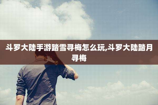 斗罗大陆手游踏雪寻梅怎么玩,斗罗大陆踏月寻梅