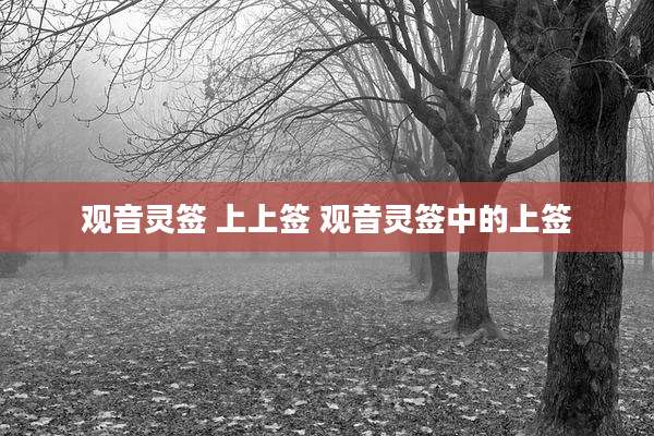 观音灵签 上上签 观音灵签中的上签