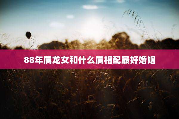 88年属龙女和什么属相配最好婚姻