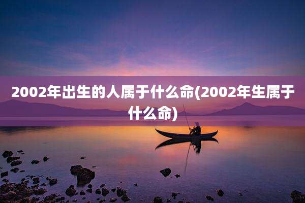 2002年出生的人属于什么命(2002年生属于什么命)