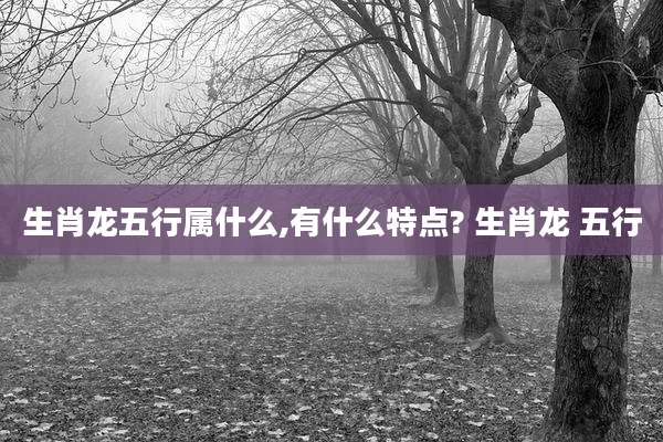 生肖龙五行属什么,有什么特点? 生肖龙 五行