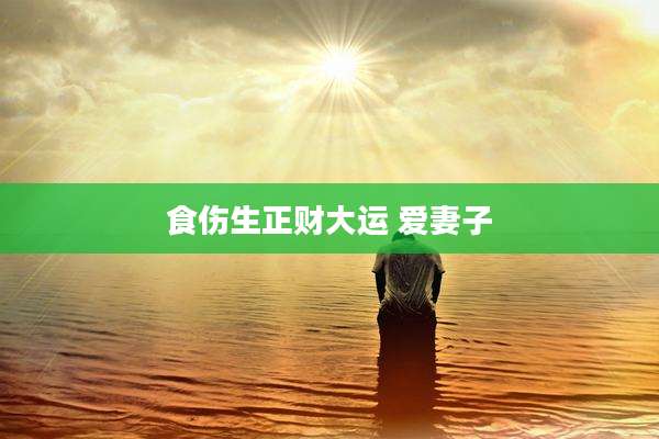 食伤生正财大运 爱妻子
