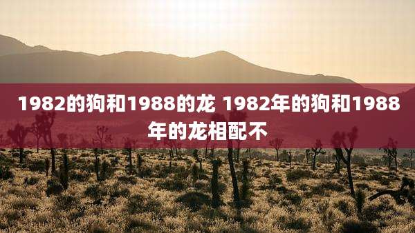 1982的狗和1988的龙 1982年的狗和1988年的龙相配不