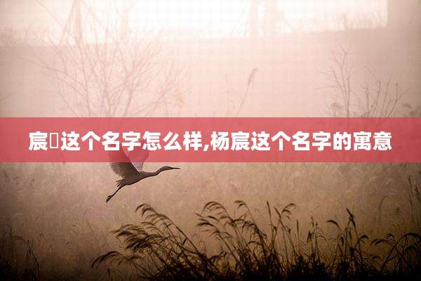 宸祎这个名字怎么样,杨宸这个名字的寓意