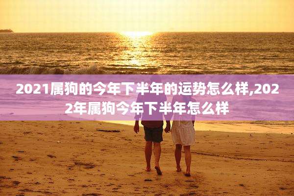 2021属狗的今年下半年的运势怎么样,2022年属狗今年下半年怎么样