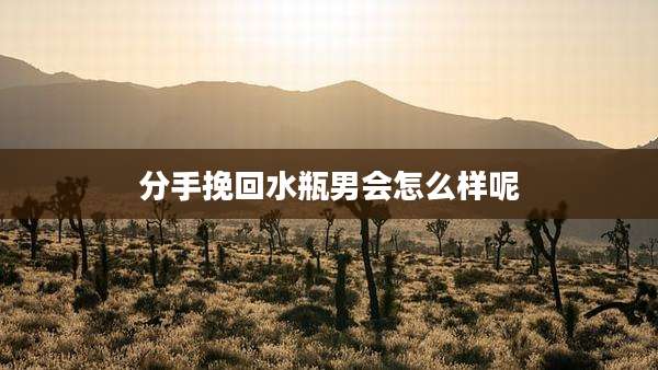 分手挽回水瓶男会怎么样呢