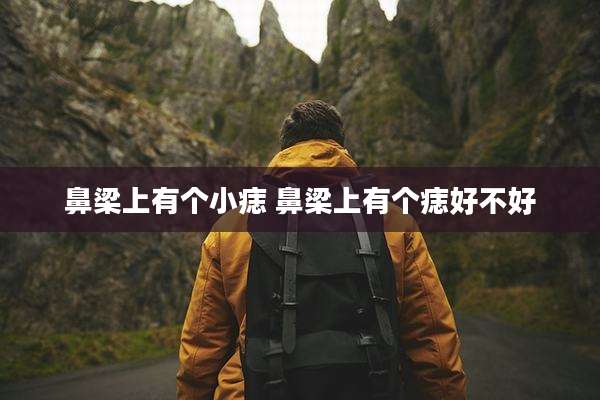 鼻梁上有个小痣 鼻梁上有个痣好不好