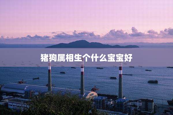 猪狗属相生个什么宝宝好