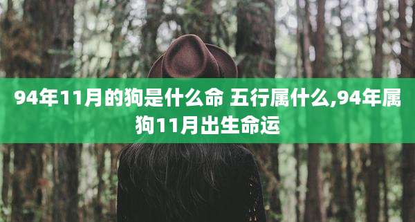 94年11月的狗是什么命 五行属什么,94年属狗11月出生命运
