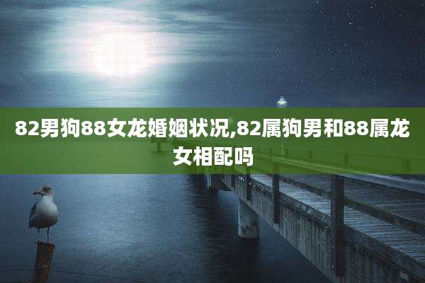 82男狗88女龙婚姻状况,82属狗男和88属龙女相配吗
