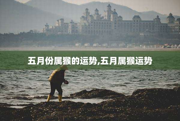 五月份属猴的运势,五月属猴运势