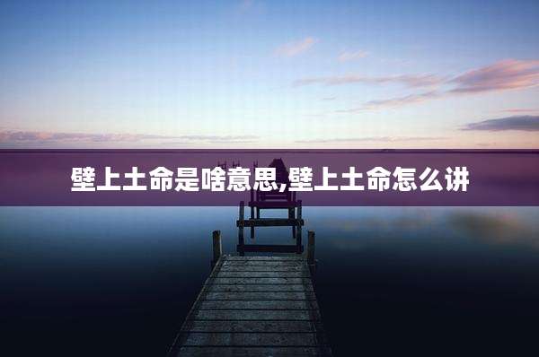 壁上土命是啥意思,壁上土命怎么讲