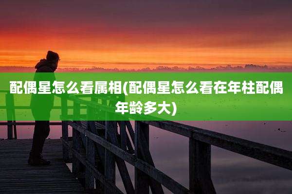配偶星怎么看属相(配偶星怎么看在年柱配偶年龄多大)