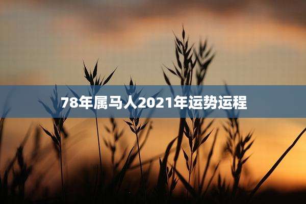 78年属马人2021年运势运程