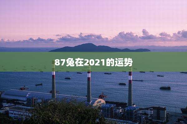 87兔在2021的运势