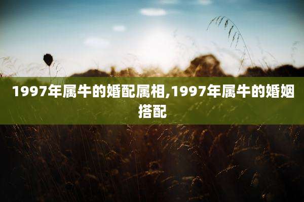 1997年属牛的婚配属相,1997年属牛的婚姻搭配