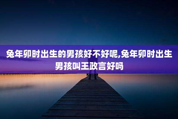 兔年卯时出生的男孩好不好呢,兔年卯时出生男孩叫王政言好吗