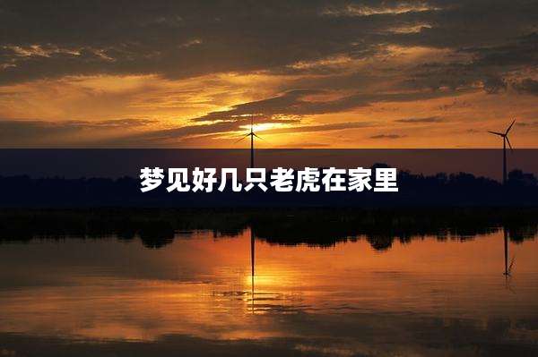 梦见好几只老虎在家里