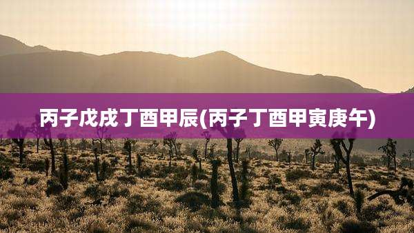 丙子戊戌丁酉甲辰(丙子丁酉甲寅庚午)